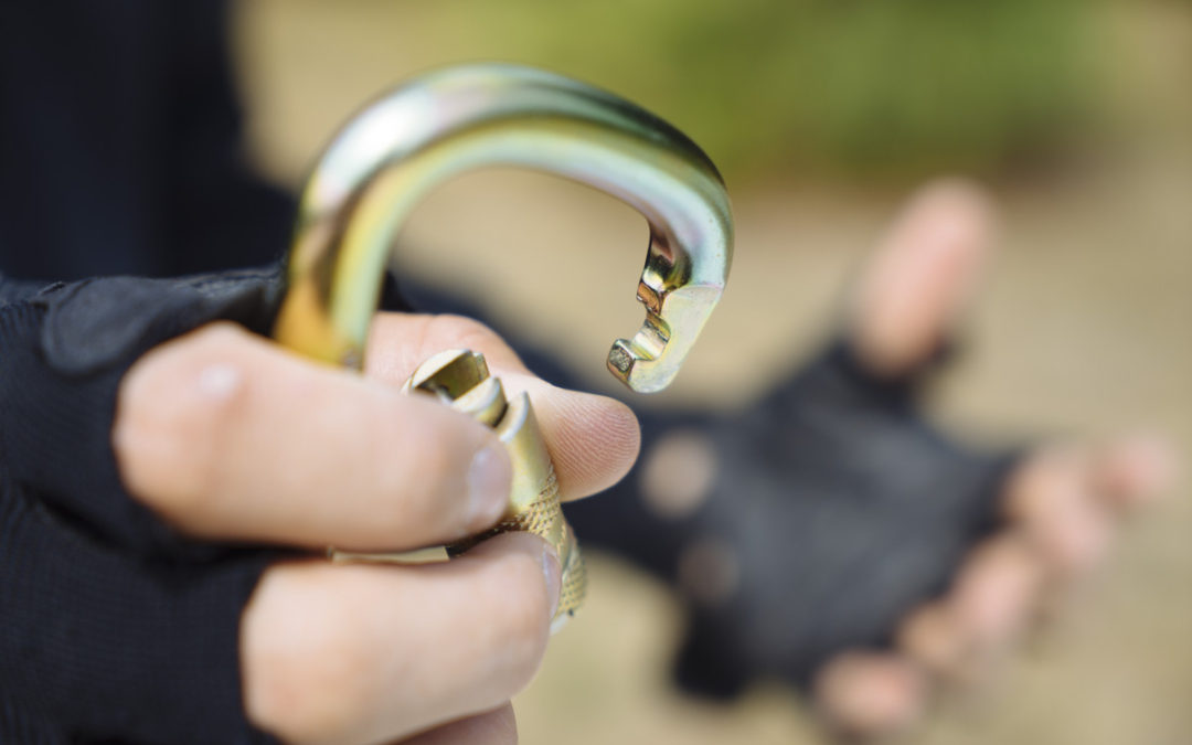 What We Use: Our Favorite Carabiners